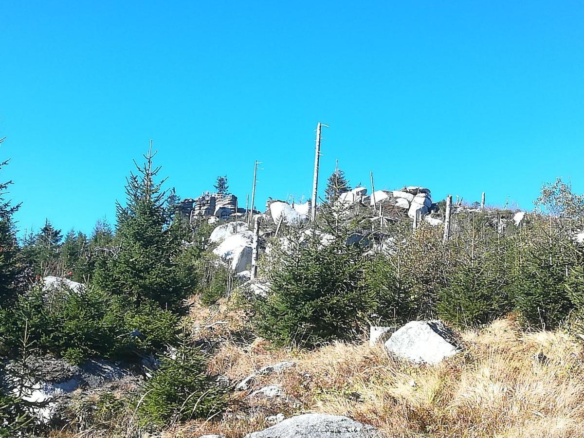 Ferienhof Schaubmeier Klaffer am Hochficht Eksteriør bilde