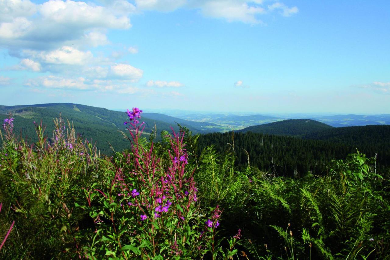 Ferienhof Schaubmeier Klaffer am Hochficht Eksteriør bilde